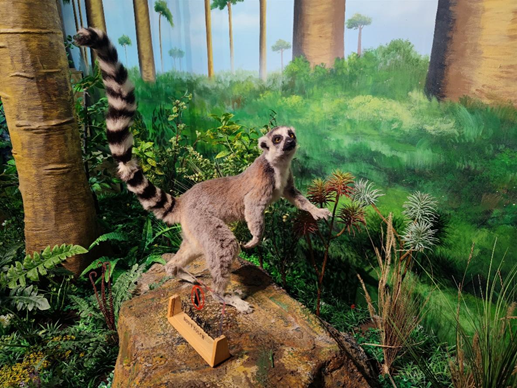 1656156824930762.png image.png